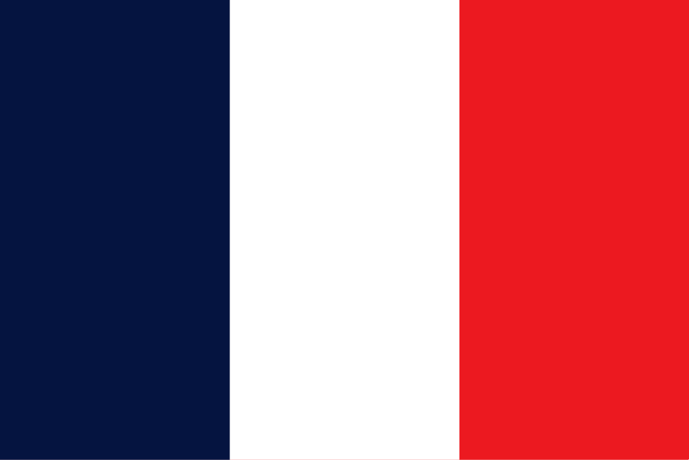Martinica flag