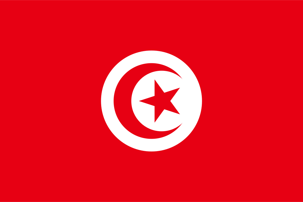 Túnez flag